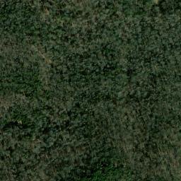 Satellite imagery of Petty Point, US