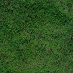 Satellite imagery of Chinquapin Ridge, US