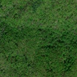 Satellite imagery of Chinquapin Ridge, US