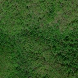 Satellite imagery of Chinquapin Ridge, US