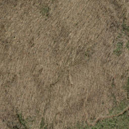 Satellite imagery of Peckerwood Ridge, US