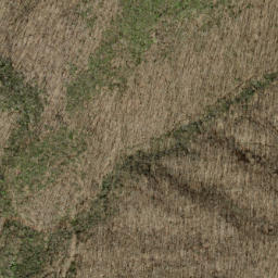 Satellite imagery of Peckerwood Ridge, US