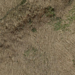 Satellite imagery of Peckerwood Ridge, US