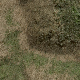 Satellite imagery of Firescald Ridge, US