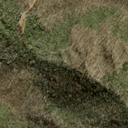 Satellite imagery of Firescald Ridge, US
