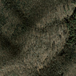 Satellite imagery of Neddie Mountain, US