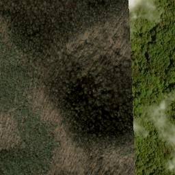Satellite imagery of Big Fork Ridge, US