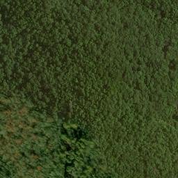 Satellite imagery of Picklesimer Fields, US