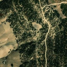 Satellite imagery of M’Ssaghid, DZ