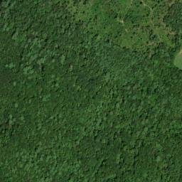 Satellite imagery of McAllister Branch Workings, US