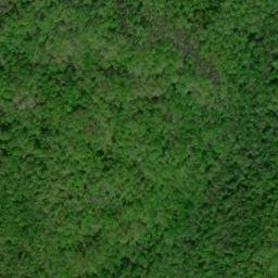 Satellite imagery of Lick Ridge, US