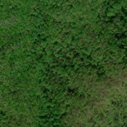 Satellite imagery of Lick Ridge, US