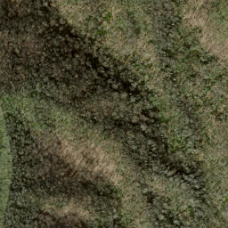 Satellite imagery of Firescald Ridge, US