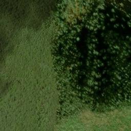Satellite imagery of Cliff Ridge, US