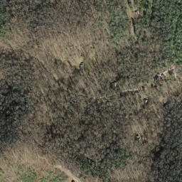 Satellite imagery of Rocky Knob Ridge, US