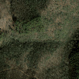 Satellite imagery of Middle Ridge, US