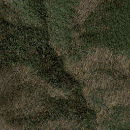 Satellite imagery of Big Fork Ridge, US