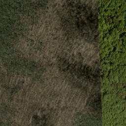 Satellite imagery of Big Fork Ridge, US