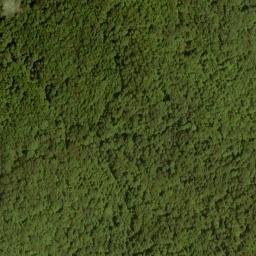 Satellite imagery of Big Fork Ridge, US