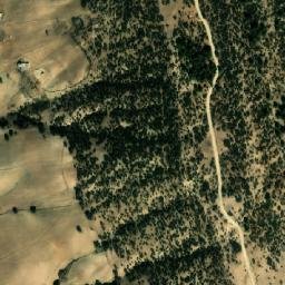 Satellite imagery of M’Ssaghid, DZ