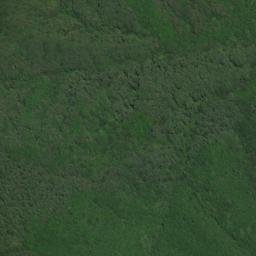 Satellite imagery of survey_point, JP