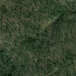 Satellite imagery of Petty Point, US