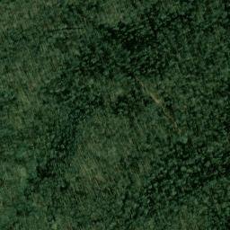 Satellite imagery of Forrest Point, US