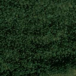 Satellite imagery of Forrest Point, US
