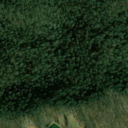 Satellite imagery of Forrest Point, US