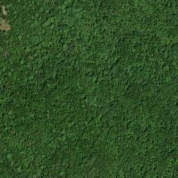 Satellite imagery of McAllister Branch Workings, US