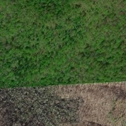 Satellite imagery of Indian Ridge, US