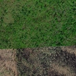 Satellite imagery of Indian Ridge, US