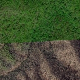 Satellite imagery of Lick Ridge, US