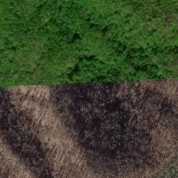 Satellite imagery of Lick Ridge, US
