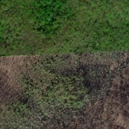 Satellite imagery of Lick Ridge, US