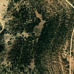 Satellite imagery of M’Ssaghid, DZ