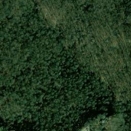 Satellite imagery of Forrest Point, US