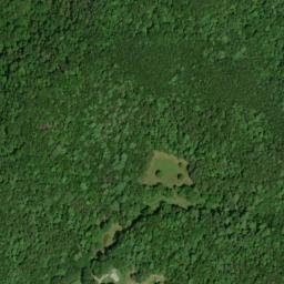 Satellite imagery of McAllister Branch Workings, US