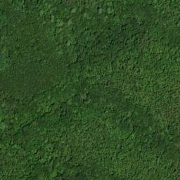 Satellite imagery of McAllister Branch Workings, US