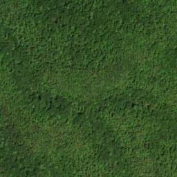 Satellite imagery of McAllister Branch Workings, US