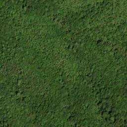 Satellite imagery of El Tigre Mine, US