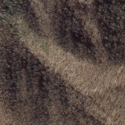 Satellite imagery of Lick Ridge, US