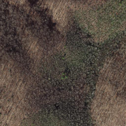 Satellite imagery of Lick Ridge, US