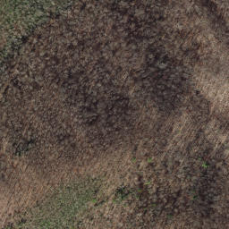 Satellite imagery of Lick Ridge, US