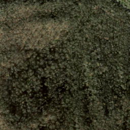 Satellite imagery of Sassafras Ridge, US