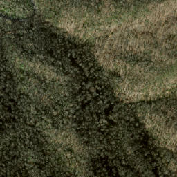 Satellite imagery of Sassafras Ridge, US