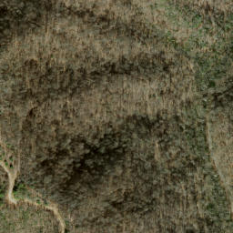 Satellite imagery of Axe Ridge, US