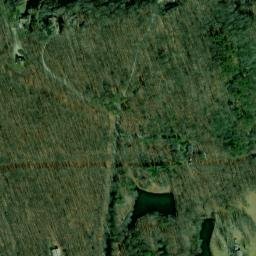 Satellite imagery of Forrest Point, US
