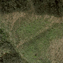 Satellite imagery of Sassafras Ridge, US