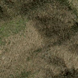 Satellite imagery of Sassafras Ridge, US